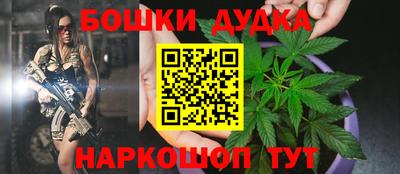 сатива Краснодар