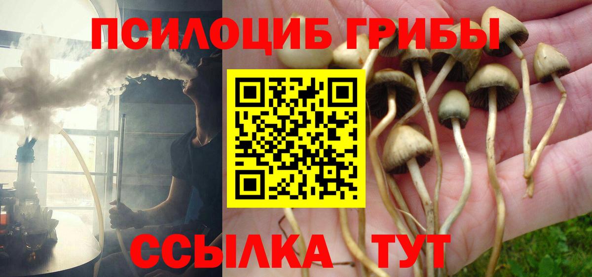 Верхняя Пышма  Галлюциногенные грибы GOLDEN TEACHER  Вход с VPN 